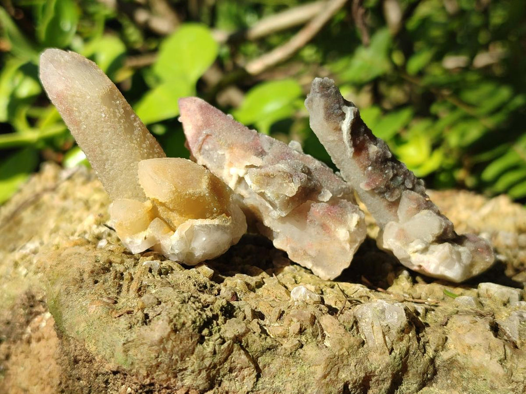 Natural Drusy Fairy Spirit Quartz Crystals x 70 From Boekenhouthoek, South Africa - Toprock Gemstones and Minerals 