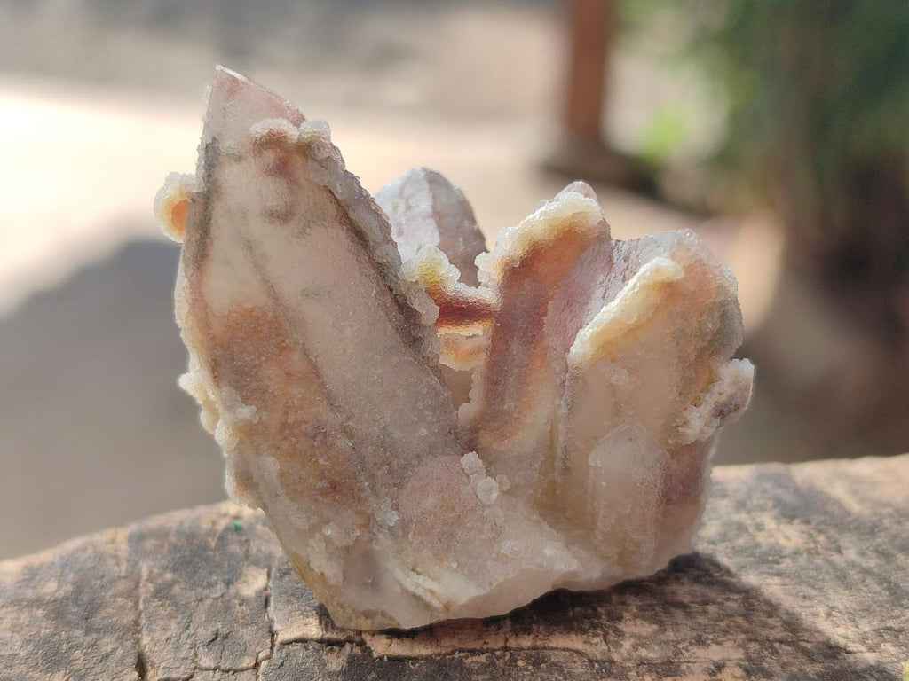 Natural Drusy Fairy Spirit Quartz Crystals x 70 From Boekenhouthoek, South Africa - Toprock Gemstones and Minerals 