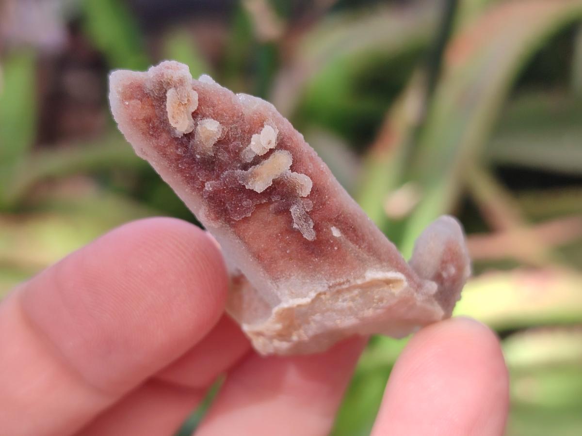 Natural Drusy Fairy Spirit Quartz Crystals x 70 From Boekenhouthoek, South Africa - Toprock Gemstones and Minerals 