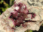 Natural Spherocobaltite Cabinet Size Specimens x 3 From Musonoi Mine, Congo - Toprock Gemstones and Minerals 