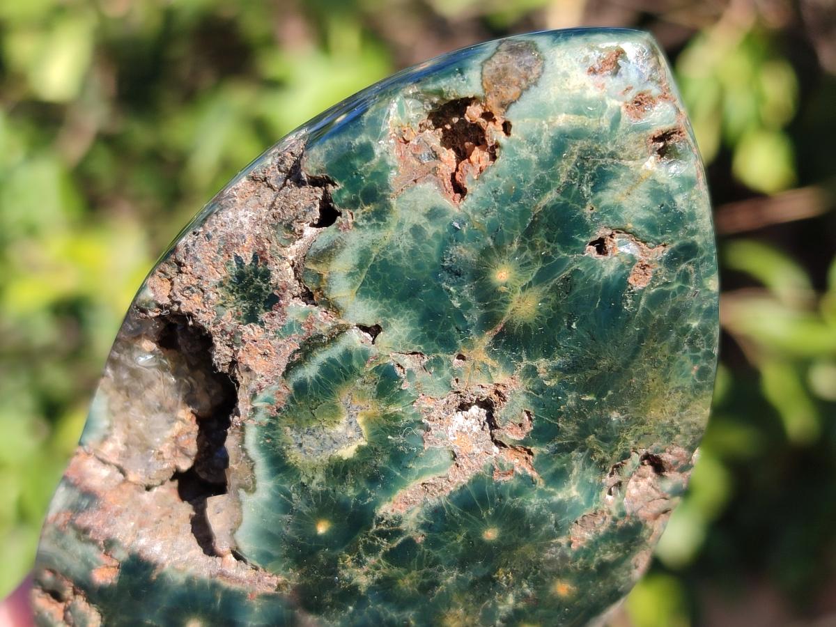 Polished Ocean Jasper Display Pieces x 5 From Northwest Coast, Madagascar - Toprock Gemstones and Minerals 