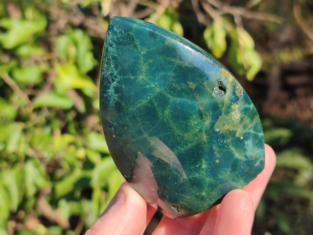 Polished Ocean Jasper Display Pieces x 5 From Northwest Coast, Madagascar - Toprock Gemstones and Minerals 