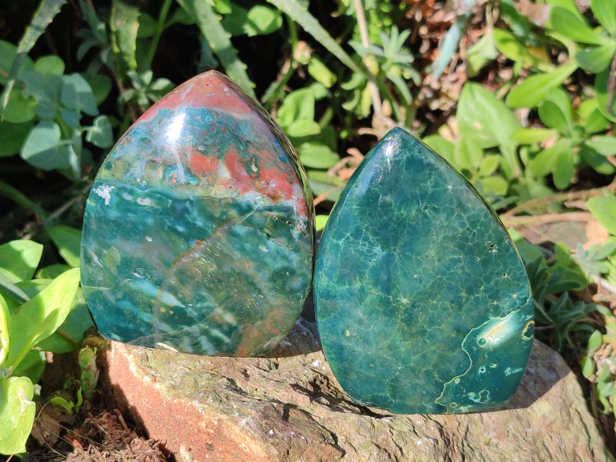 Polished Ocean Jasper Display Pieces x 5 From Northwest Coast, Madagascar - Toprock Gemstones and Minerals 