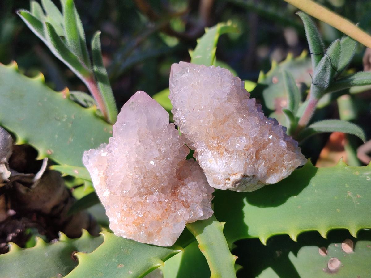 Natural White Drusy Spirit Quartz Clusters x 20 From Boekenhouthoek, South Africa - Toprock Gemstones and Minerals 