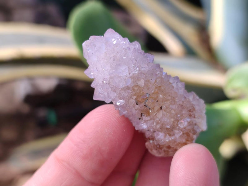 Natural White Drusy Spirit Quartz Clusters x 20 From Boekenhouthoek, South Africa - Toprock Gemstones and Minerals 