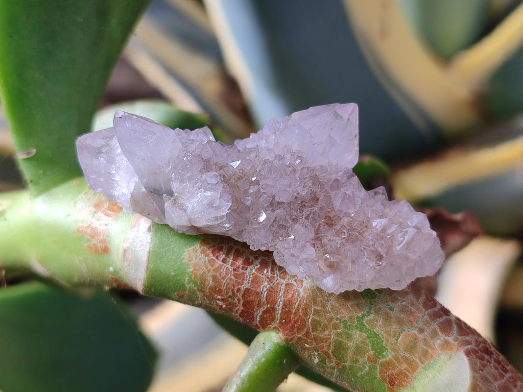 Natural White Drusy Spirit Quartz Clusters x 20 From Boekenhouthoek, South Africa - Toprock Gemstones and Minerals 