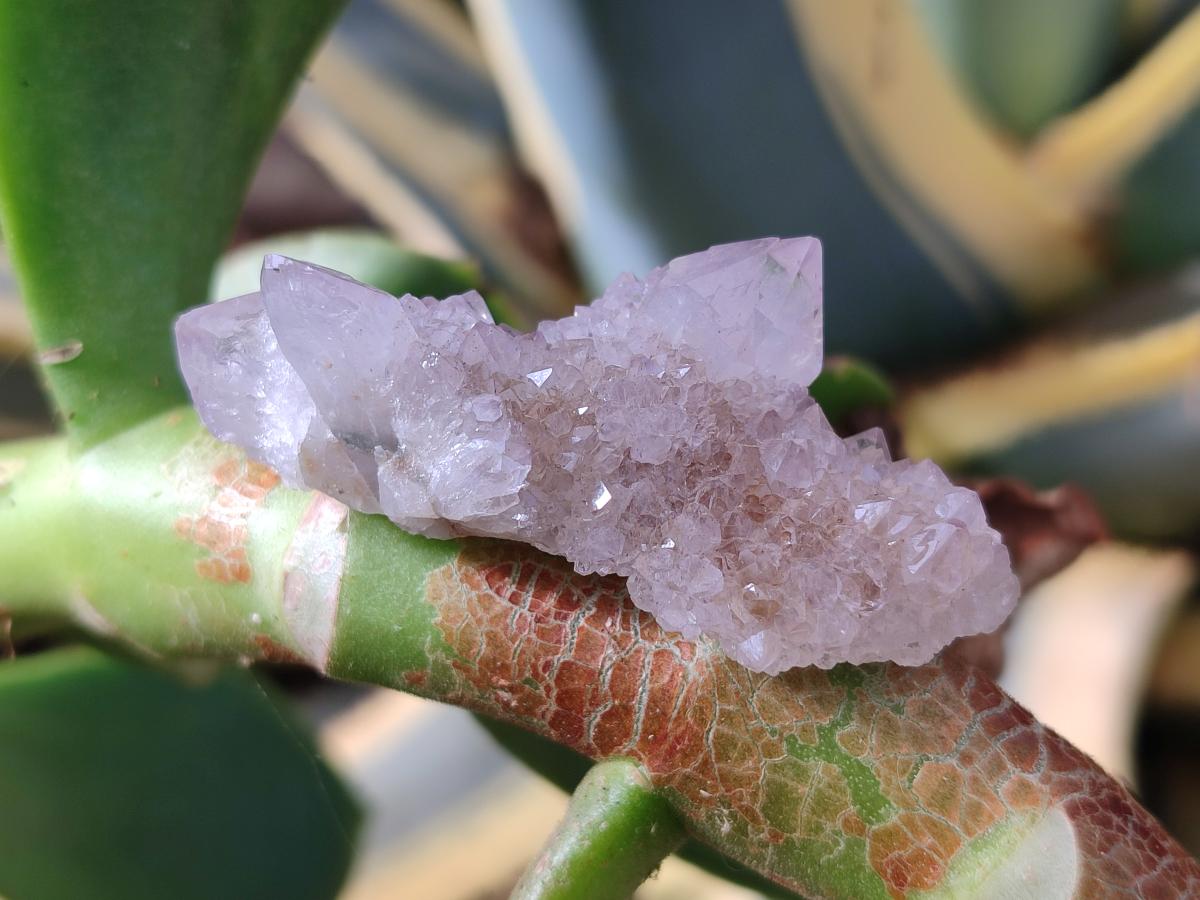 Natural White Drusy Spirit Quartz Clusters x 20 From Boekenhouthoek, South Africa - Toprock Gemstones and Minerals 