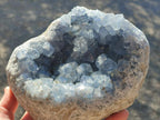 Natural Large Blue Celestite Geode Specimen x 1 From Sakoany, Madagascar - Toprock Gemstones and Minerals 