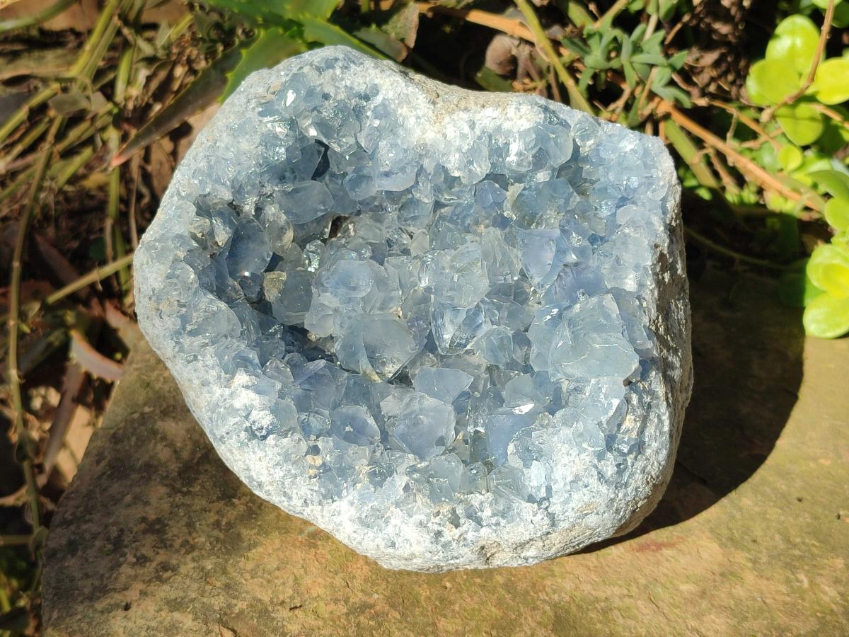Natural Large Blue Celestite Geode Specimen x 1 From Sakoany, Madagascar - Toprock Gemstones and Minerals 