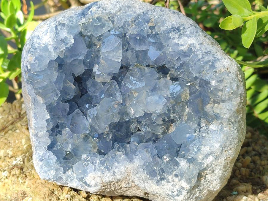 Natural Large Blue Celestite Geode Specimen x 1 From Sakoany, Madagascar - Toprock Gemstones and Minerals 