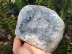 Natural Large Blue Celestite Geode Specimen x 1 From Sakoany, Madagascar - Toprock Gemstones and Minerals 