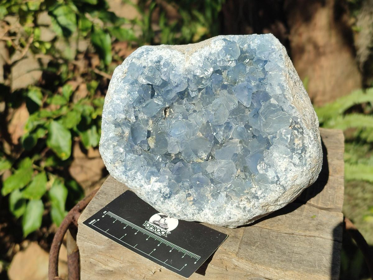 Natural Large Blue Celestite Geode Specimen x 1 From Sakoany, Madagascar - Toprock Gemstones and Minerals 