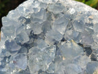 Natural Large Blue Celestite Geode Specimen x 1 From Sakoany, Madagascar - Toprock Gemstones and Minerals 
