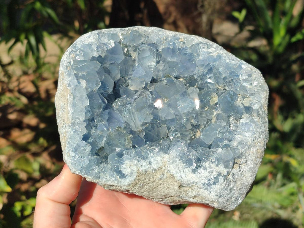 Natural Large Blue Celestite Geode Specimen x 1 From Sakoany, Madagascar - Toprock Gemstones and Minerals 
