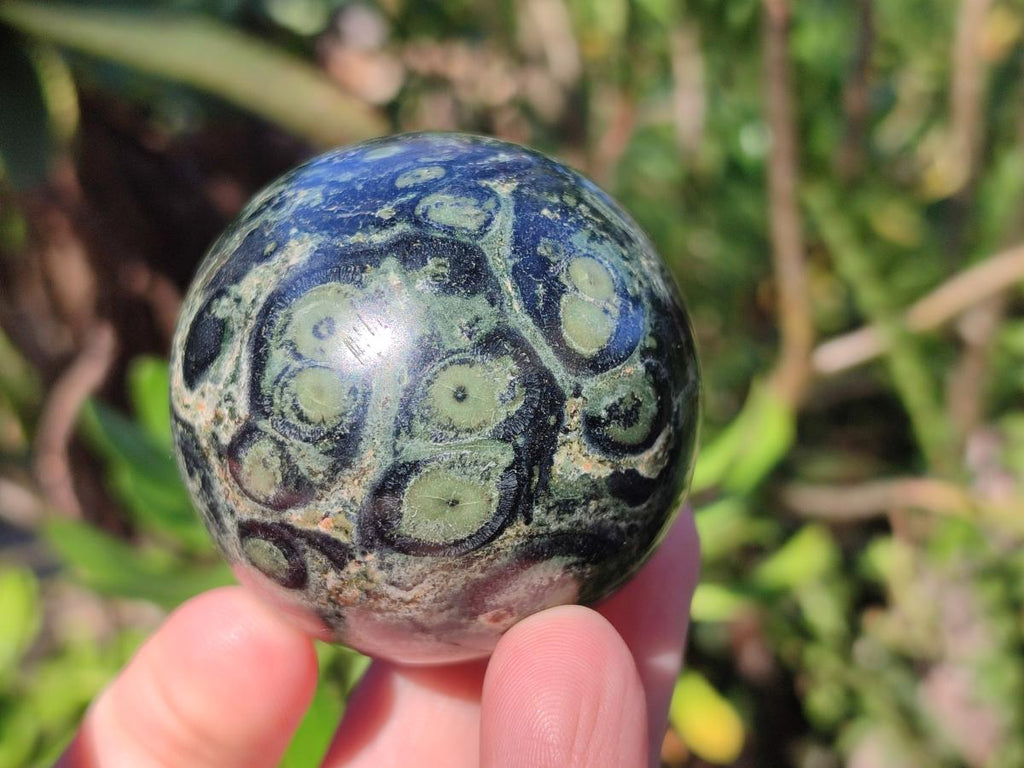 Polished Small Stromatolite "Kambaba Jasper" Spheres x 12 From Katsepy, Madagascar - Toprock Gemstones and Minerals 