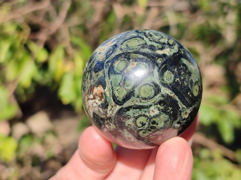 Polished Small Stromatolite "Kambaba Jasper" Spheres x 12 From Katsepy, Madagascar - Toprock Gemstones and Minerals 