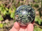 Polished Small Stromatolite "Kambaba Jasper" Spheres x 12 From Katsepy, Madagascar - Toprock Gemstones and Minerals 