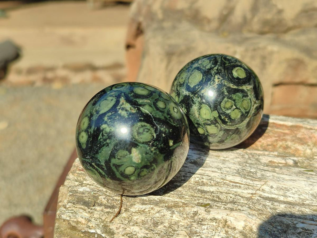 Polished Small Stromatolite "Kambaba Jasper" Spheres x 12 From Katsepy, Madagascar - Toprock Gemstones and Minerals 
