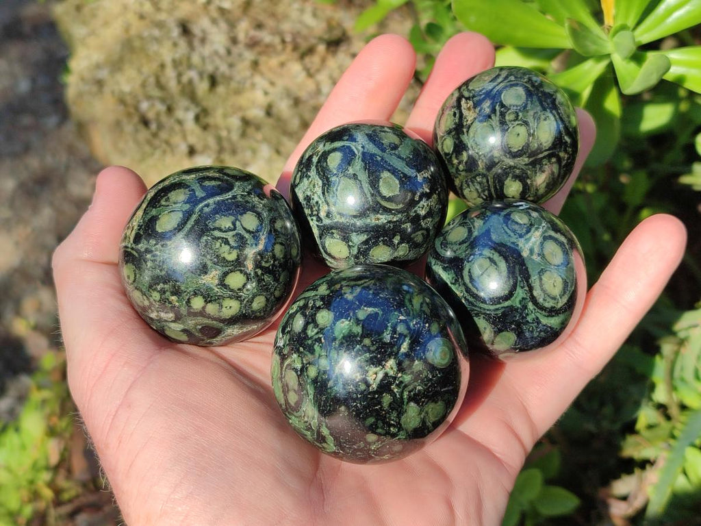 Polished Small Stromatolite "Kambaba Jasper" Spheres x 12 From Katsepy, Madagascar - Toprock Gemstones and Minerals 