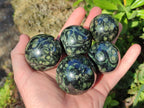 Polished Small Stromatolite "Kambaba Jasper" Spheres x 12 From Katsepy, Madagascar - Toprock Gemstones and Minerals 
