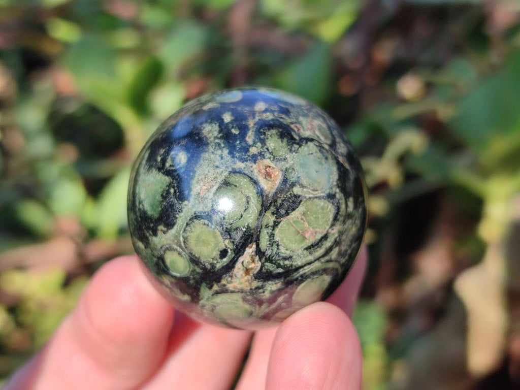 Polished Small Stromatolite "Kambaba Jasper" Spheres x 12 From Katsepy, Madagascar - Toprock Gemstones and Minerals 