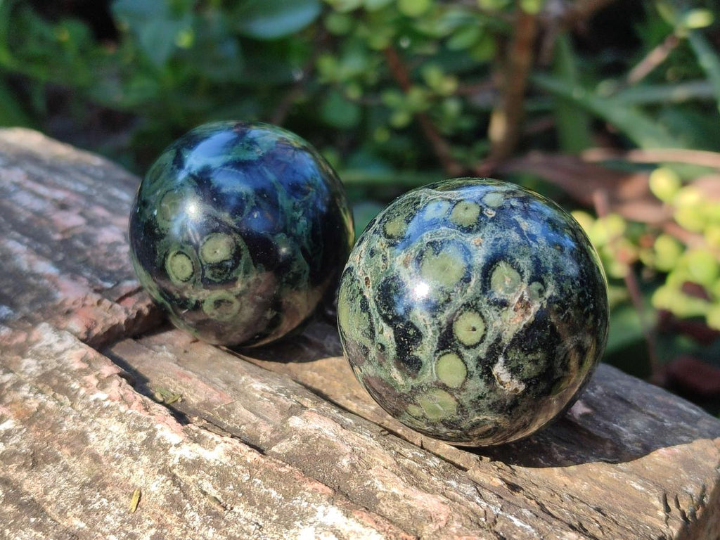 Polished Small Stromatolite "Kambaba Jasper" Spheres x 12 From Katsepy, Madagascar - Toprock Gemstones and Minerals 