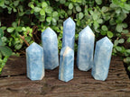 Polished Blue Calcite Display Crystals x 6 From Madagascar - Toprock Gemstones and Minerals 