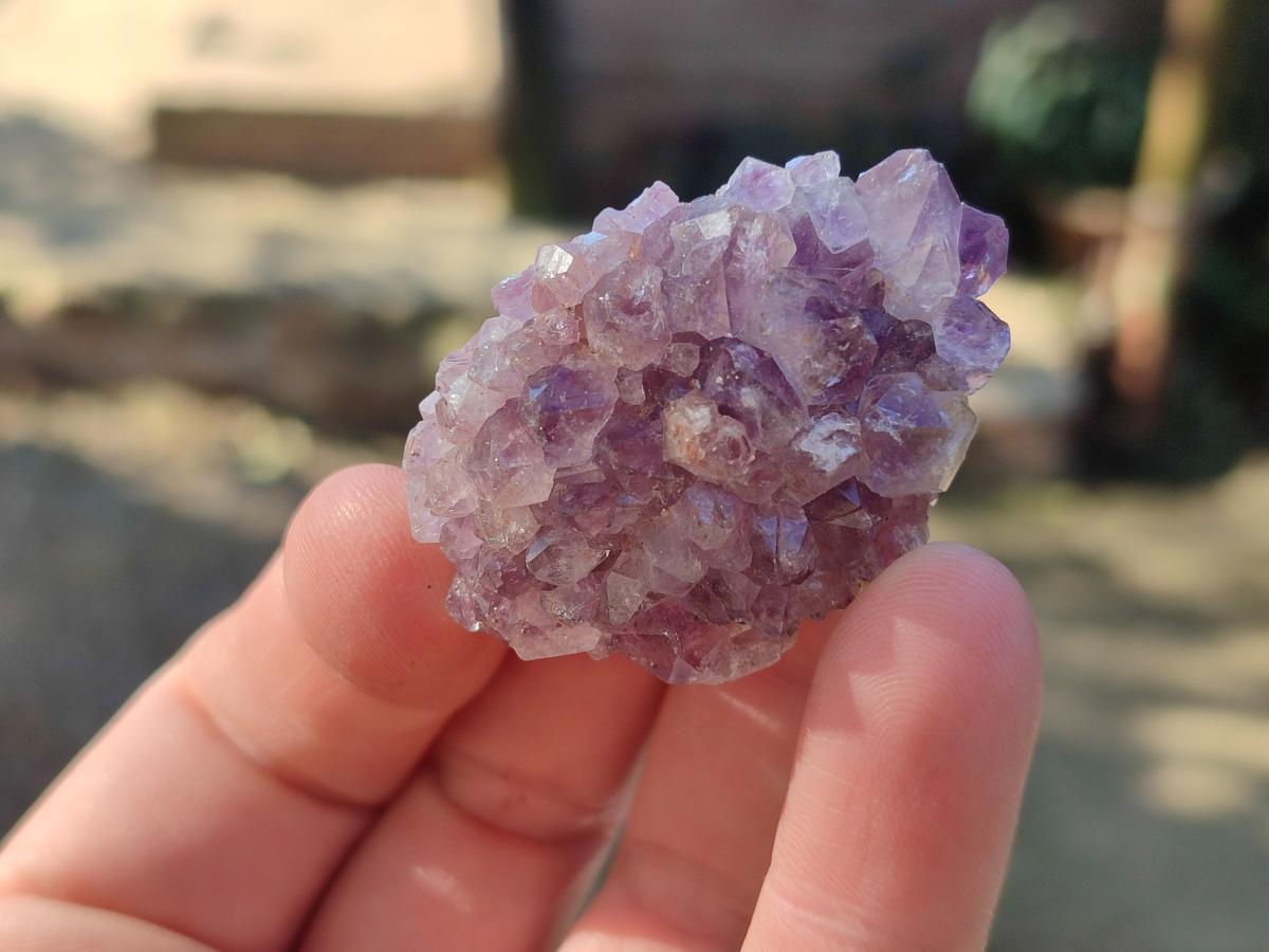 Natural Mini Amethyst Clusters x 70 From Ambatondrazaka, Madagascar - Toprock Gemstones and Minerals 