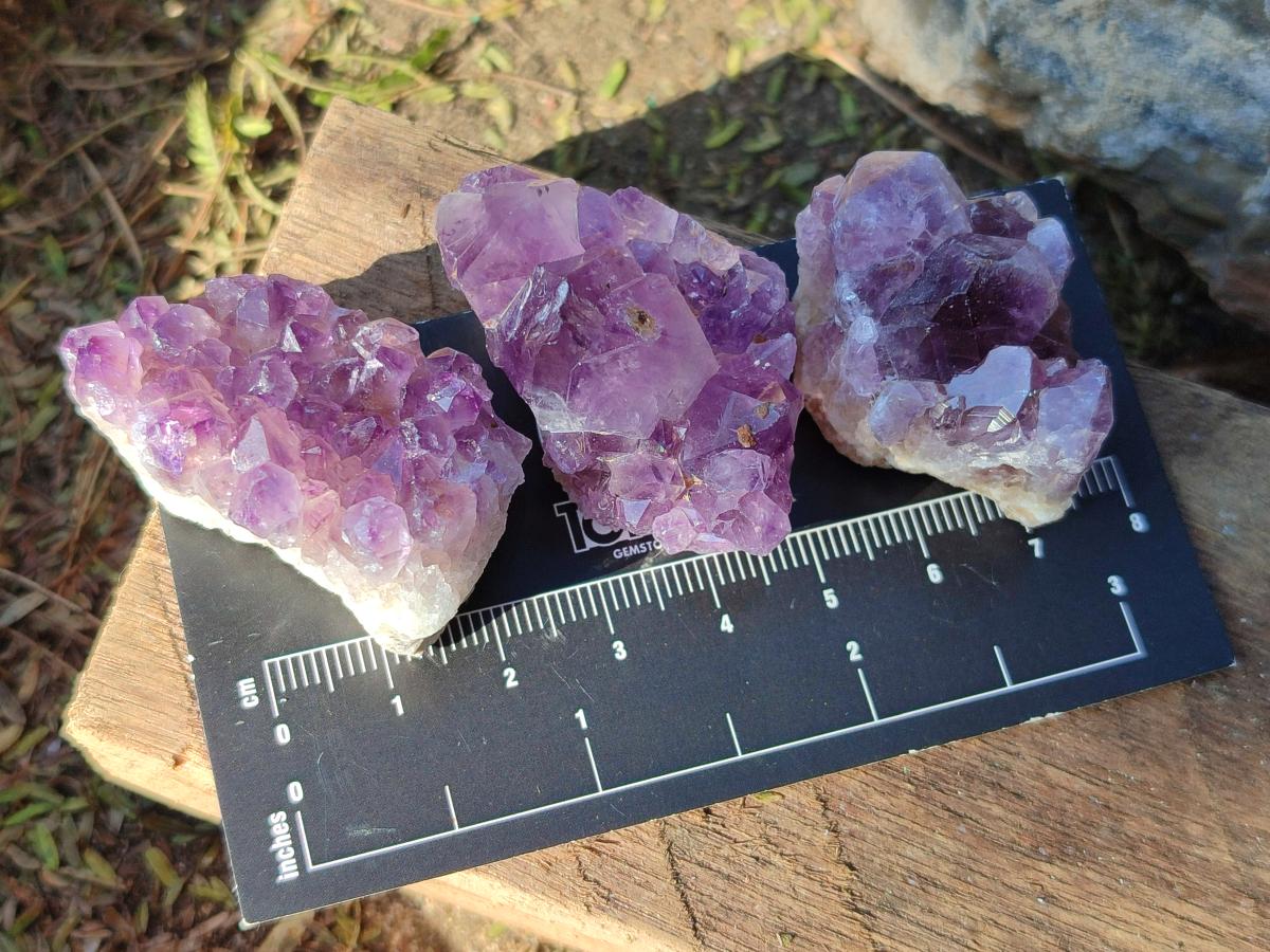 Natural Mini Amethyst Clusters x 70 From Ambatondrazaka, Madagascar - Toprock Gemstones and Minerals 