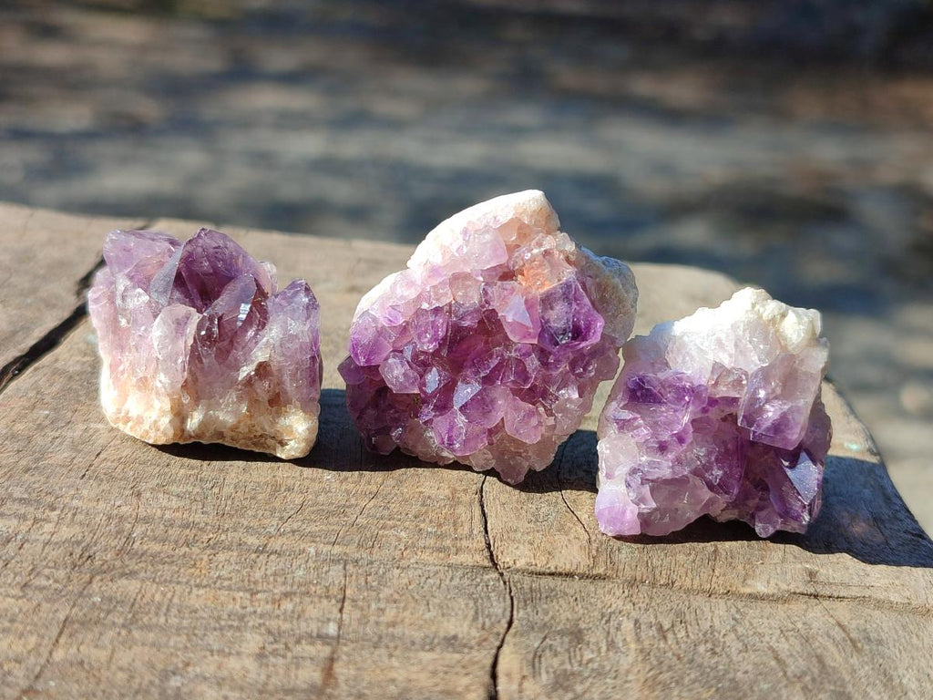 Natural Mini Amethyst Clusters x 70 From Ambatondrazaka, Madagascar - Toprock Gemstones and Minerals 