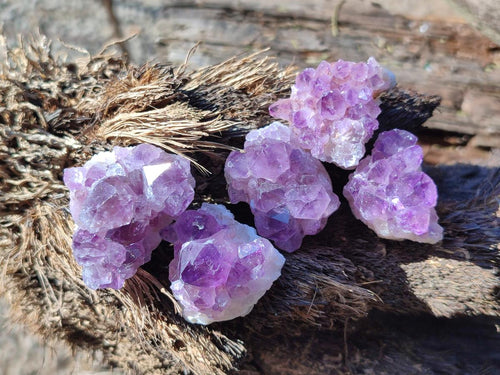 Natural Mini Amethyst Clusters x 70 From Ambatondrazaka, Madagascar - Toprock Gemstones and Minerals 