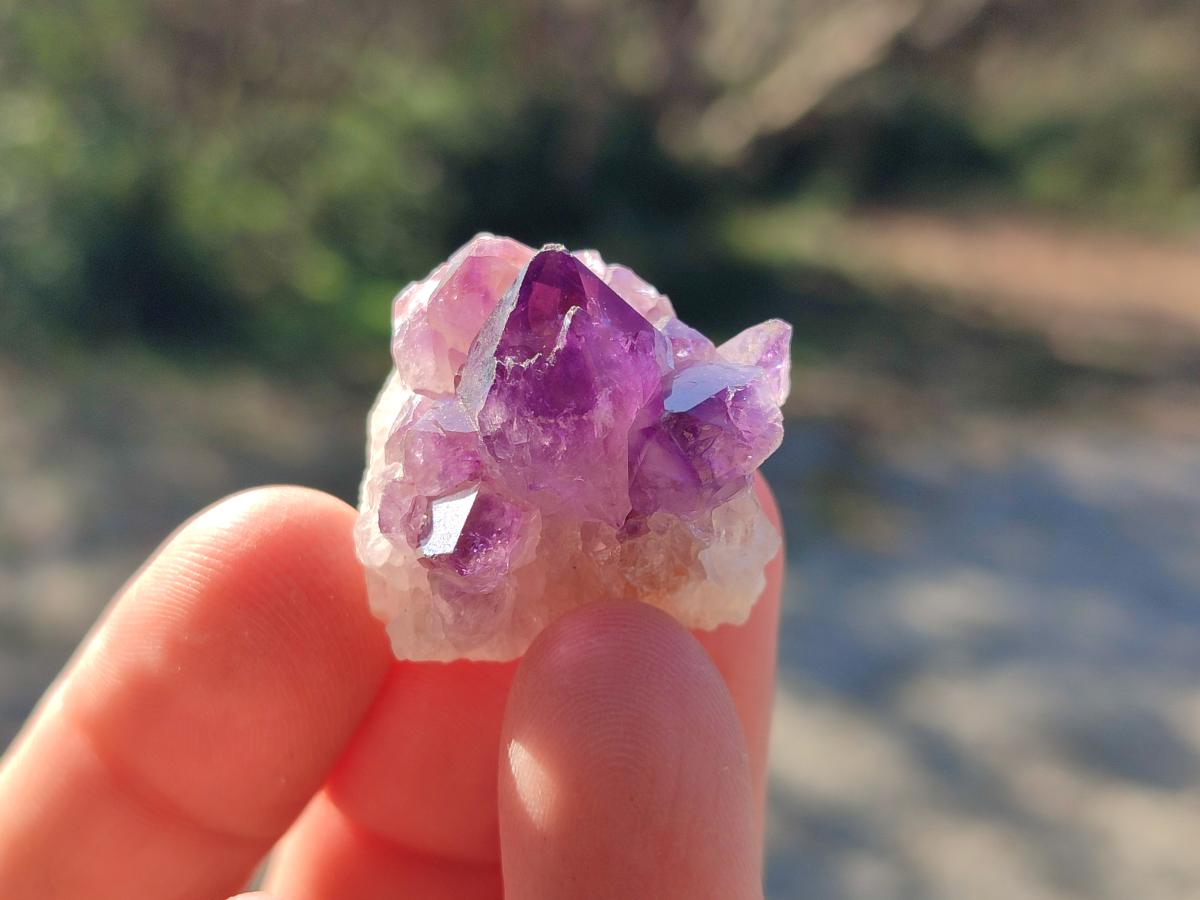 Natural Mini Amethyst Clusters x 70 From Ambatondrazaka, Madagascar - Toprock Gemstones and Minerals 