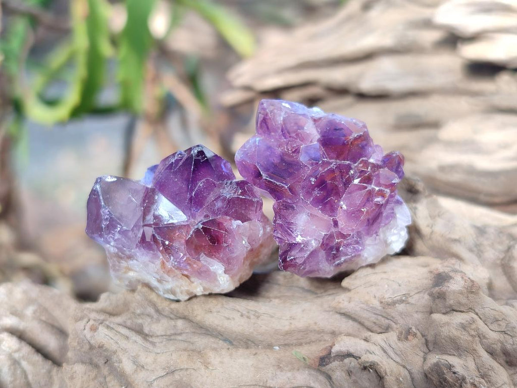 Natural Mini Amethyst Clusters x 70 From Ambatondrazaka, Madagascar - Toprock Gemstones and Minerals 