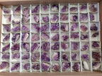 Natural Mini Amethyst Clusters x 70 From Ambatondrazaka, Madagascar - Toprock Gemstones and Minerals 
