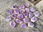 Natural Mini Amethyst Clusters x 70 From Ambatondrazaka, Madagascar - Toprock Gemstones and Minerals 