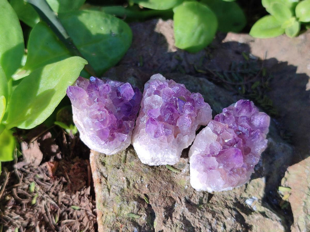 Natural Mini Amethyst Clusters x 70 From Ambatondrazaka, Madagascar - Toprock Gemstones and Minerals 