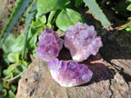 Natural Mini Amethyst Clusters x 70 From Ambatondrazaka, Madagascar - Toprock Gemstones and Minerals 