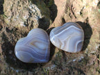 Polished Banded Agate Hearts x 24 From Madagascar - Toprock Gemstones and Minerals 