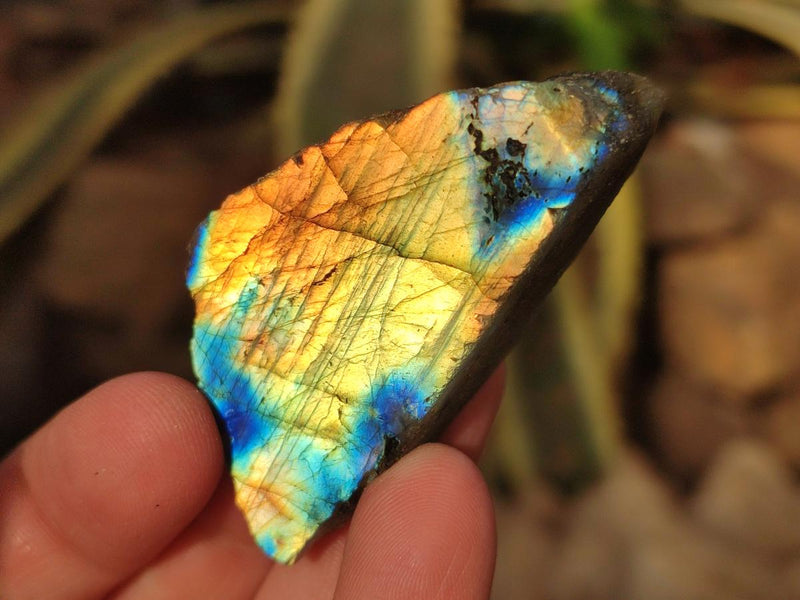 Polished One Side Labradorite Display Pieces Cut to Stand x 70 From Madagascar - Toprock Gemstones and Minerals 