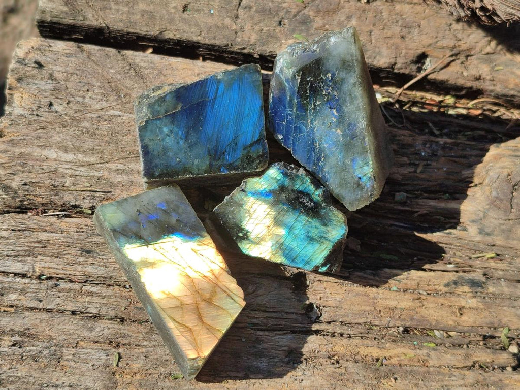 Polished One Side Labradorite Display Pieces Cut to Stand x 70 From Madagascar - Toprock Gemstones and Minerals 