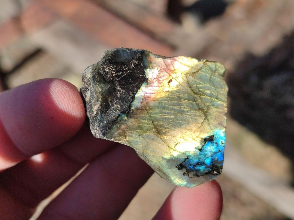 Polished One Side Labradorite Display Pieces Cut to Stand x 70 From Madagascar - Toprock Gemstones and Minerals 