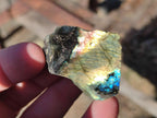 Polished One Side Labradorite Display Pieces Cut to Stand x 70 From Madagascar - Toprock Gemstones and Minerals 