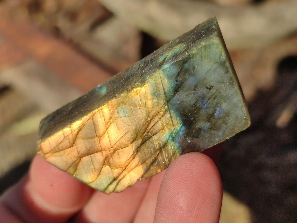 Polished One Side Labradorite Display Pieces Cut to Stand x 70 From Madagascar - Toprock Gemstones and Minerals 