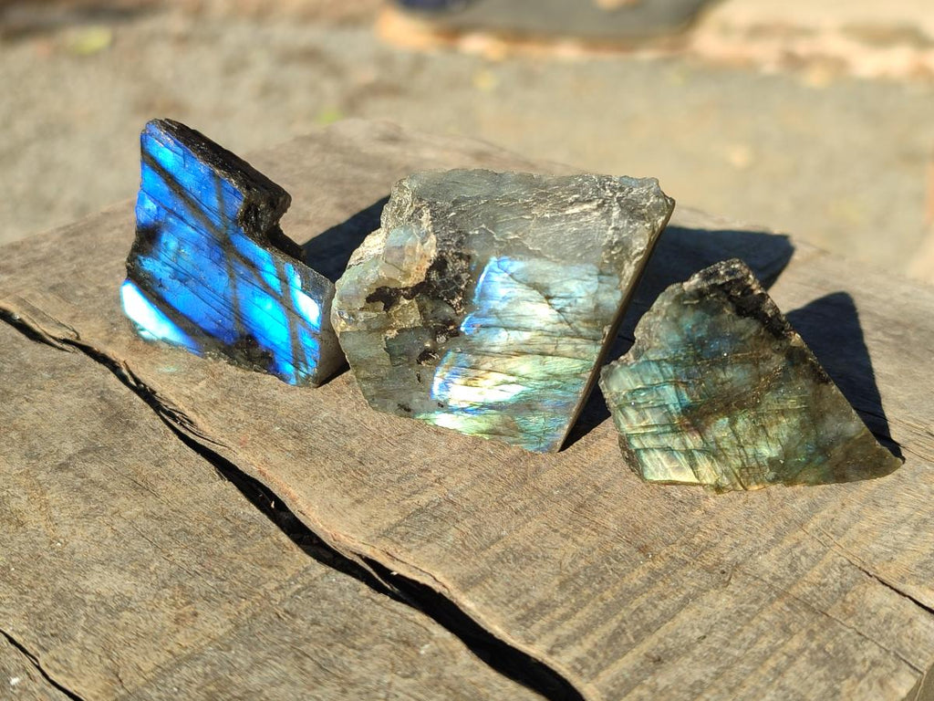 Polished One Side Labradorite Display Pieces Cut to Stand x 70 From Madagascar - Toprock Gemstones and Minerals 