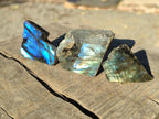 Polished One Side Labradorite Display Pieces Cut to Stand x 70 From Madagascar - Toprock Gemstones and Minerals 