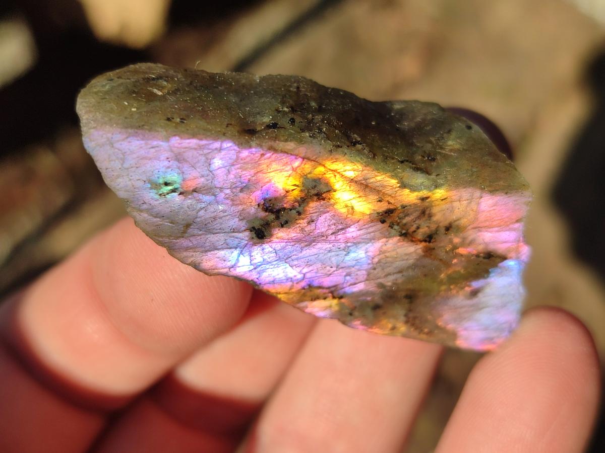 Polished One Side Labradorite Display Pieces Cut to Stand x 70 From Madagascar - Toprock Gemstones and Minerals 