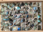 Polished One Side Labradorite Display Pieces Cut to Stand x 70 From Madagascar - Toprock Gemstones and Minerals 