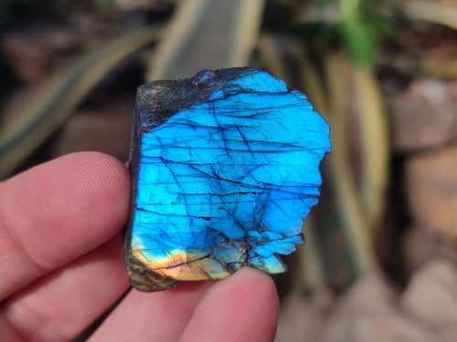 Polished One Side Labradorite Display Pieces Cut to Stand x 70 From Madagascar - Toprock Gemstones and Minerals 