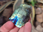 Polished One Side Labradorite Display Pieces Cut to Stand x 70 From Madagascar - Toprock Gemstones and Minerals 