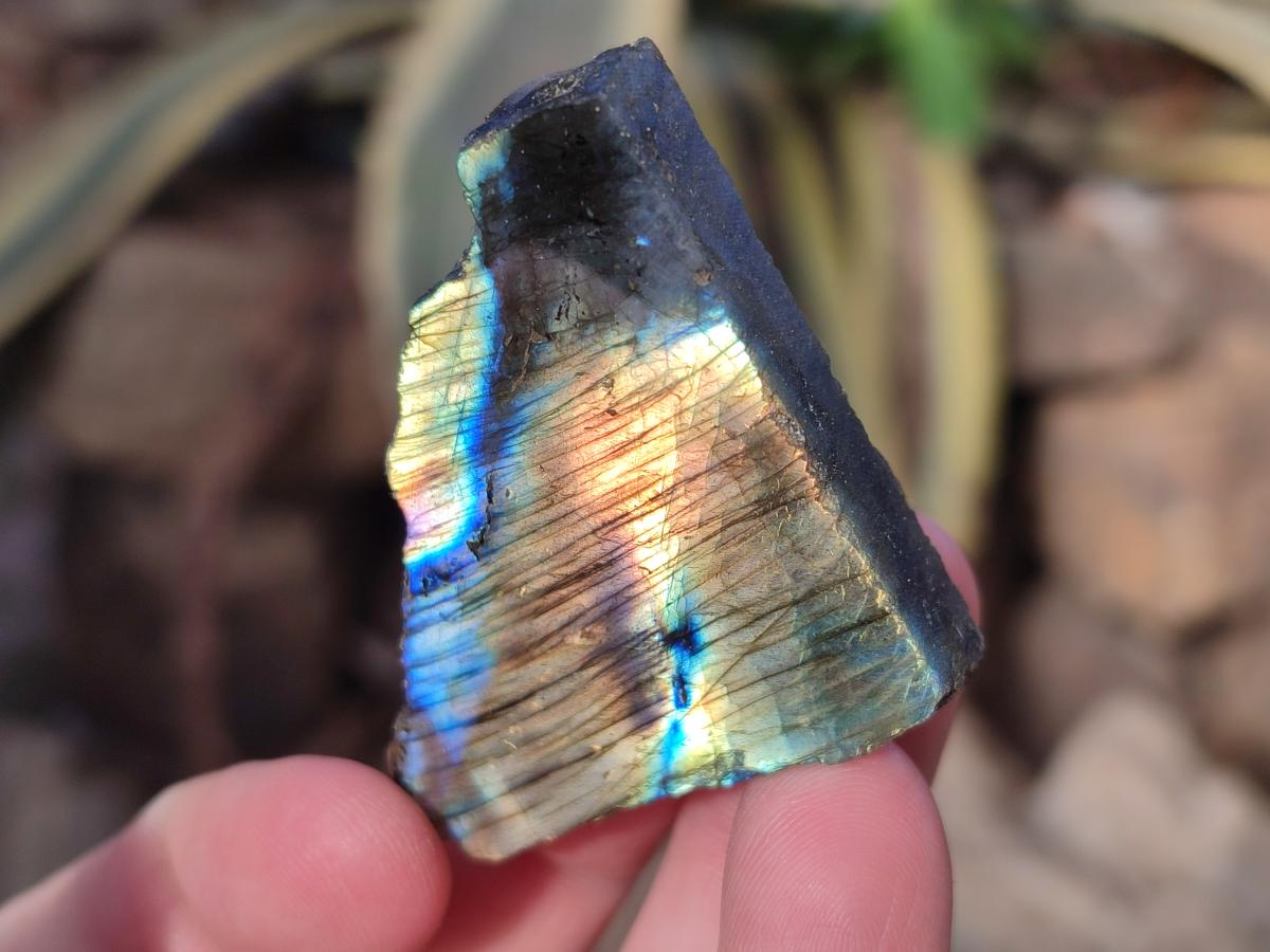 Polished One Side Labradorite Display Pieces Cut to Stand x 70 From Madagascar - Toprock Gemstones and Minerals 
